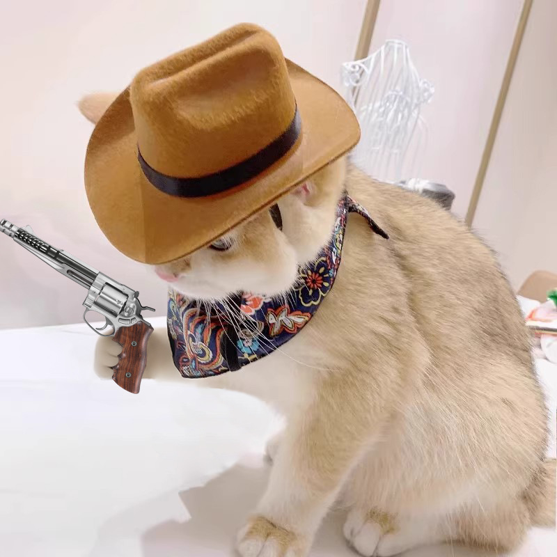  Cat Cowboy Hat Pet Head Acce – Cowboy Hat Straw Bewertung und Preis