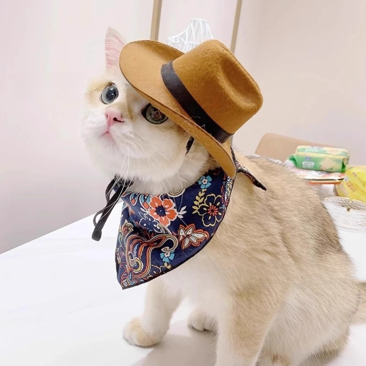  Cat Cowboy Hat Pet Head Acce – Cowboy Hat Straw Bewertung und Preis