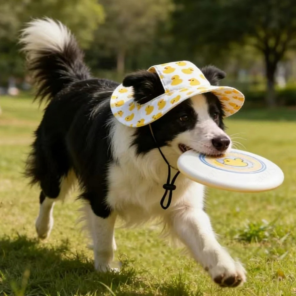 Printed Pet Dog Hat Adjustable – Running Cap Lightweight Bewertung und Preis