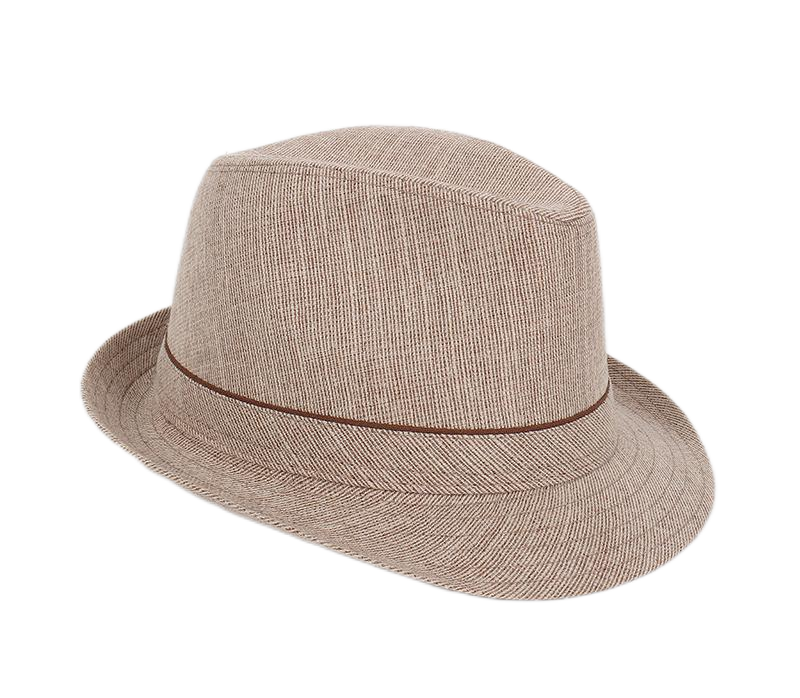 Spring&Autumn Men Fedoras  Top – Fedora Hat Wool Bewertung und Preis